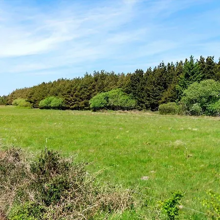 Bv431-blavand-vesterballevej-16 * Blåvand
